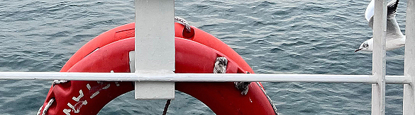 Blick von einer Reling auf den Ozean mit Rettungsring und Möve